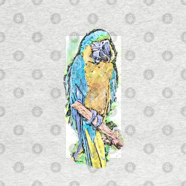 Watercolor Sketch Style Colorful Bird by GraphicBazaar